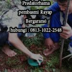 Anti Rayap di Bogor I Call : 0813-1022-2548  I Predatorhama