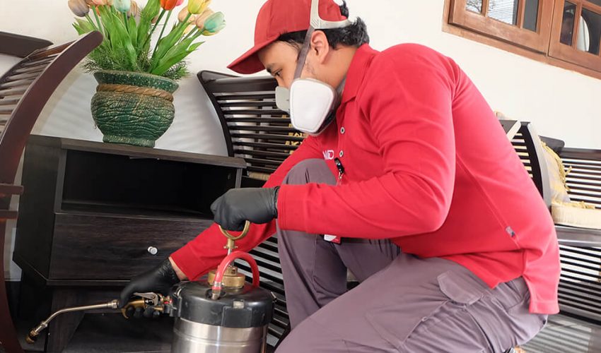 Rayap Diam-diam Ngerusak Rumah? Coba Jasa Semprot Anti Rayap di Benda Tangerang Ini!