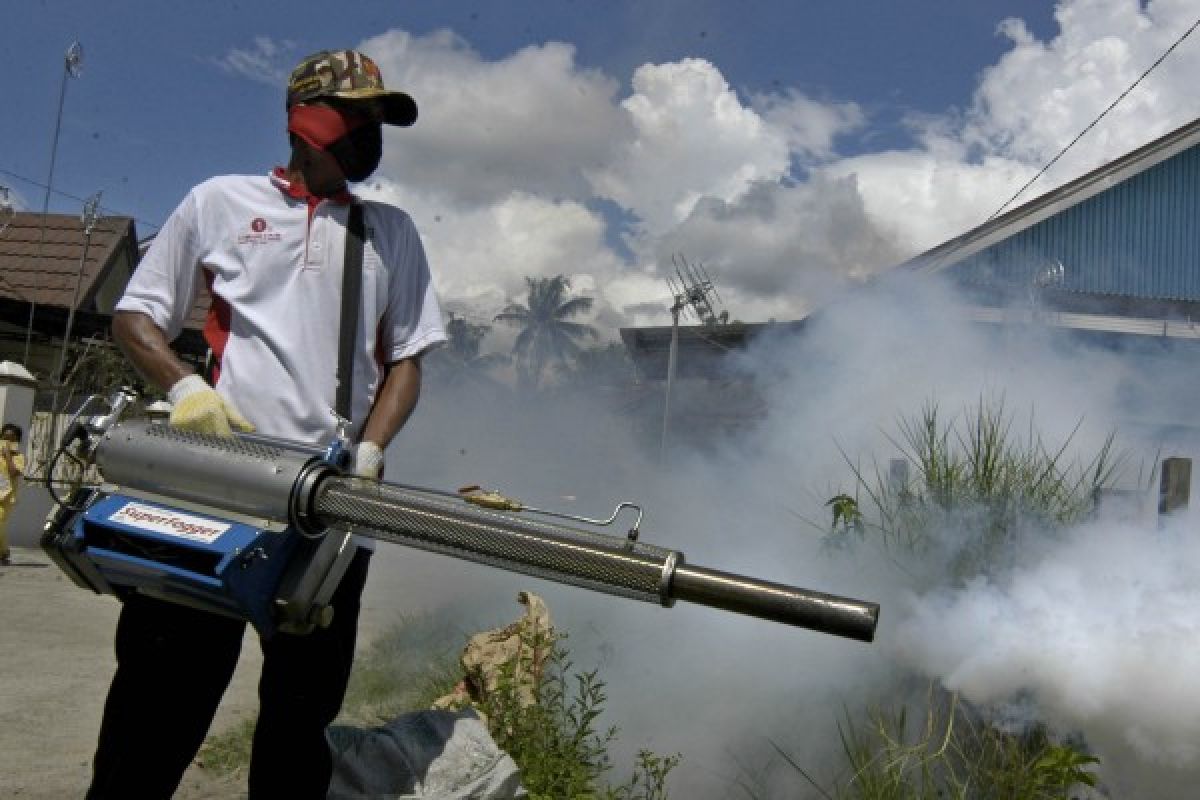 Ini Jasa Fogging Nyamuk di Benda Tangerang, Solusi Ampuh Cegah DBD Bersama Predatorhama.com!