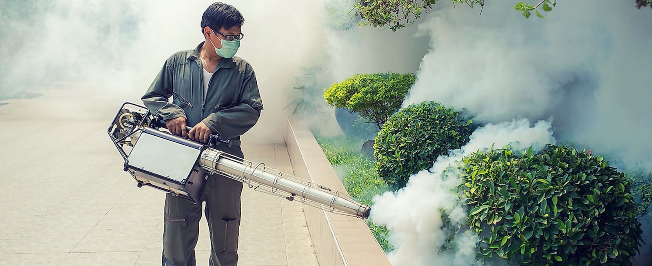 Nyamuk Nggak Ada Obatnya? Coba Deh Jasa Fogging Nyamuk di Batuceper Tangerang dari PREDATORHAMA!