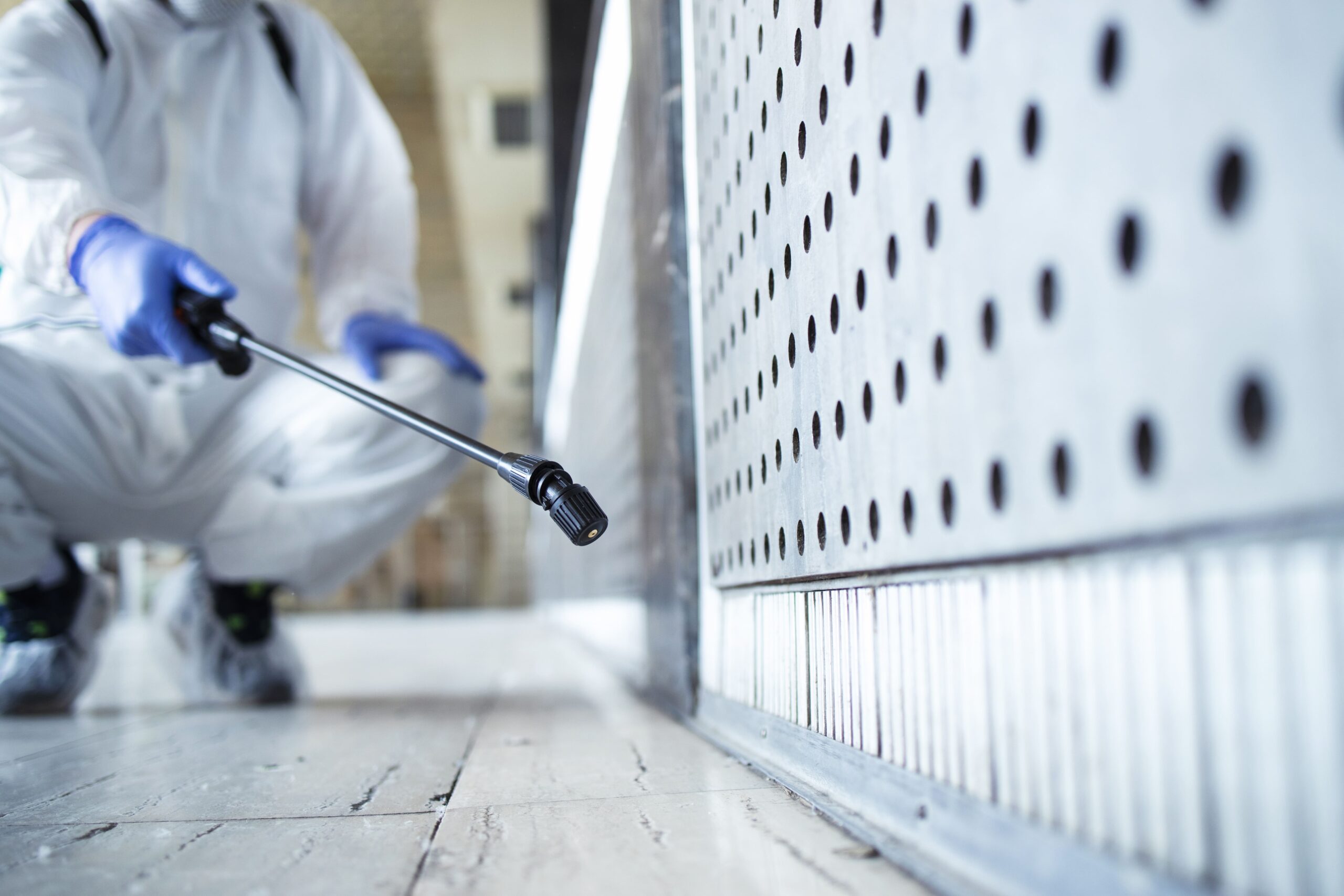 Jangan Nyesel! Ini Dia Jasa Fumigasi di Batuceper Tangerang yang Paling Recommended
