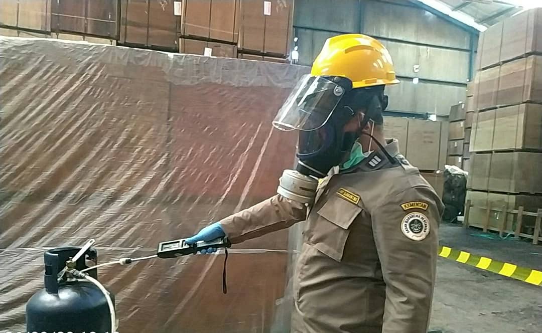 Butuh Jasa Fumigasi Kayu di Batuceper Tangerang? Predator Hama Jawabannya!