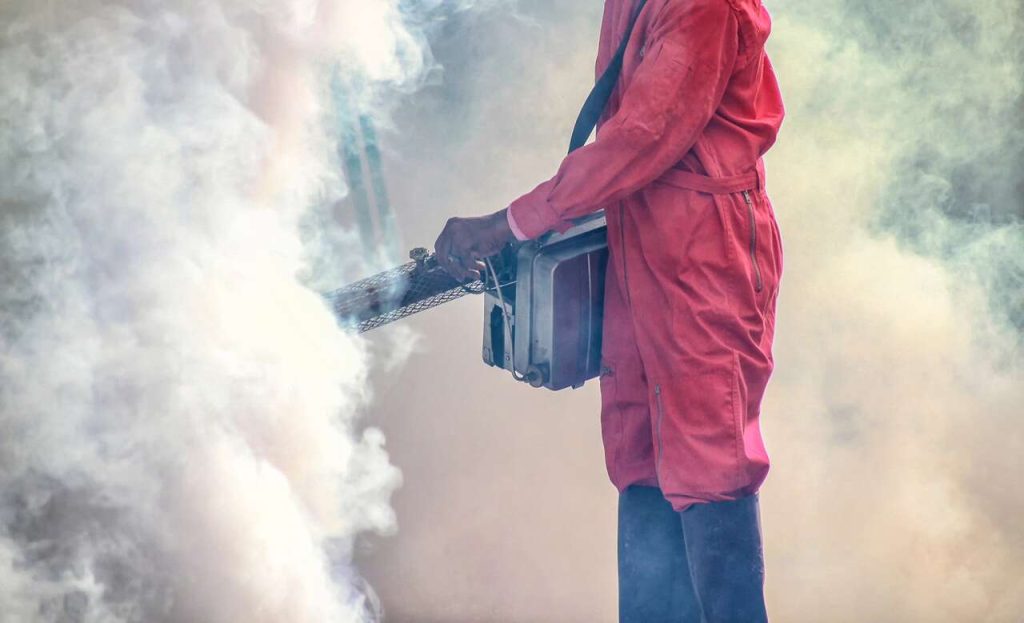 Hama Bisa Hancurkan Asetmu, Cegah dengan Fumigasi Kayu di Cipondoh Tangerang
