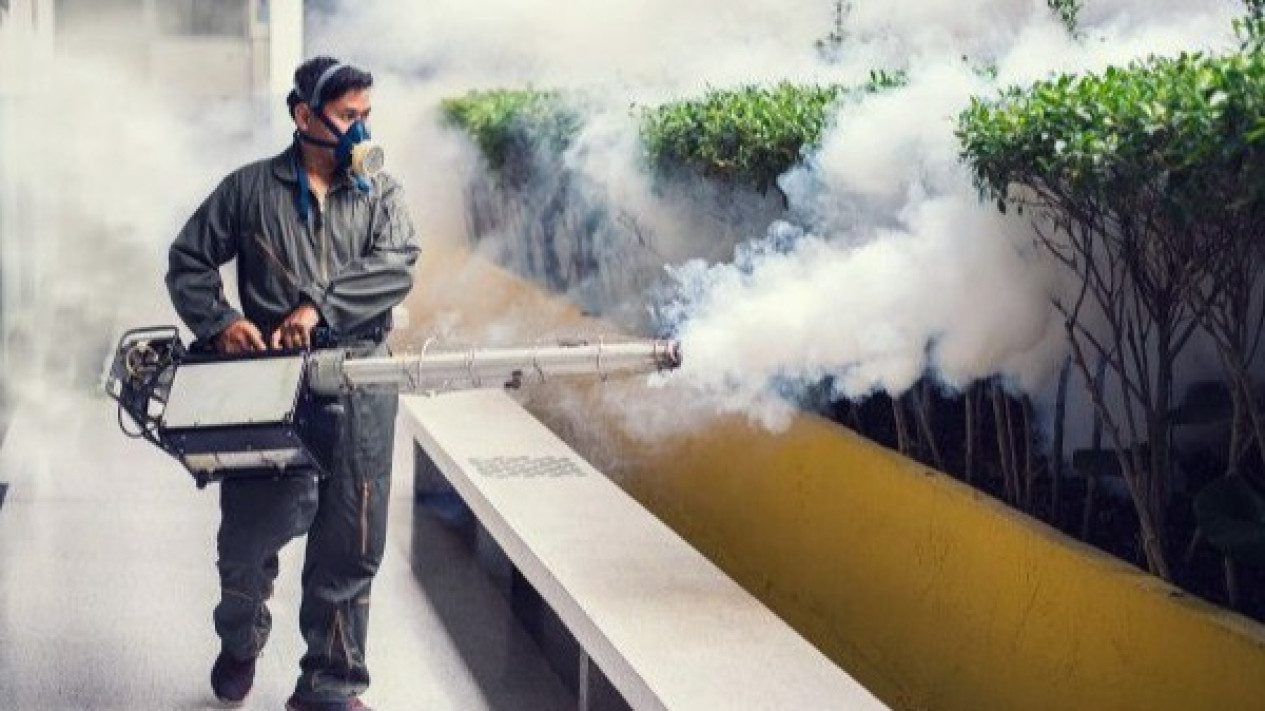 Nyamuk Bikin Risih? Saatnya Gunakan Jasa Fogging Nyamuk di Jatiuwung Tangerang